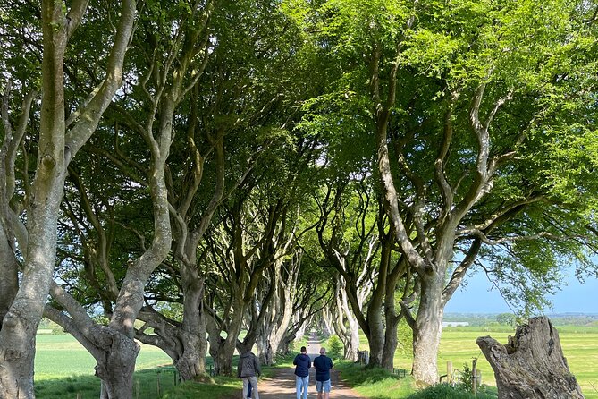 Luxury Tour of Giants Causeway from Belfast - Ballintoy Harbour: a quieter coastal pause