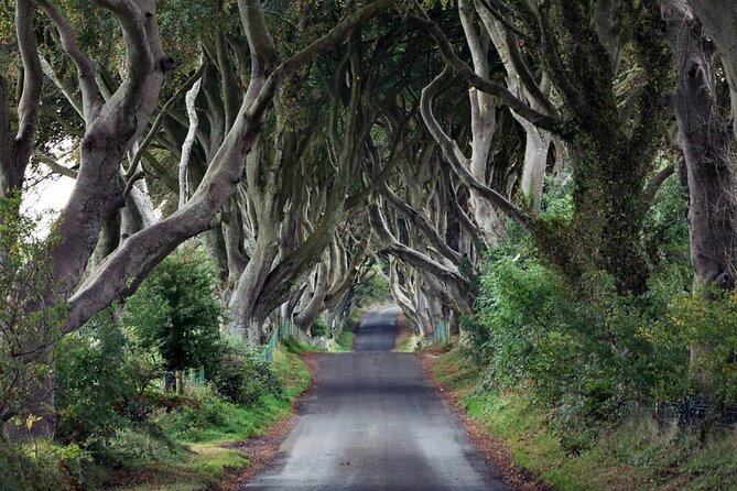Private Giant's Causeway Tour including Game of Thrones Sites - Two hours at Bushmills Distillery