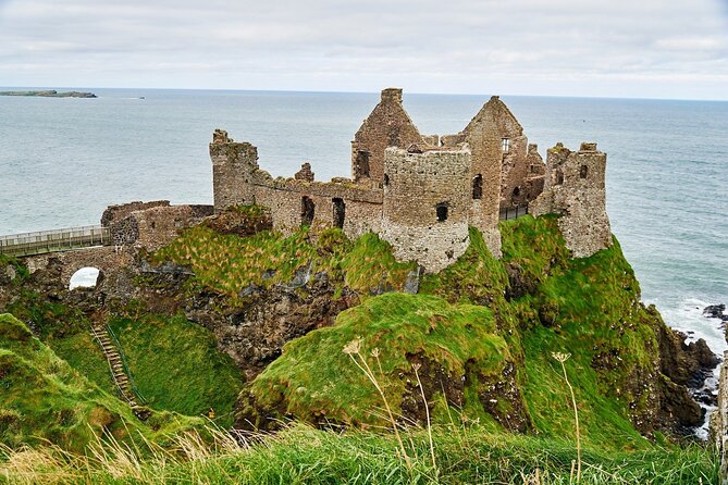 Private Giants Causeway Tour From Belfast - Walking among the Giant’s Causeway stones