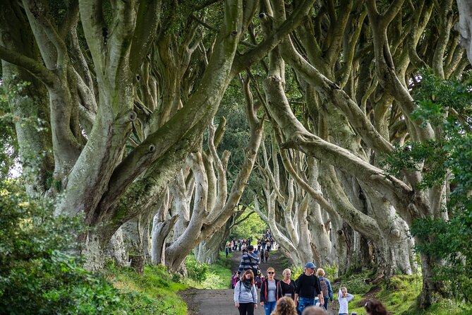 Private Giants Causeway Tour From Belfast - Carnlough Harbour offers a useful pause