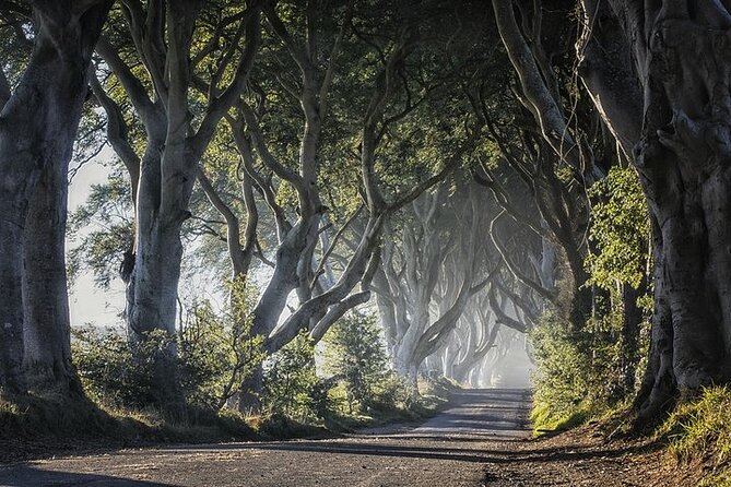 Private Tour - Causeway, Castles & Whiskey Tour - Game of Thrones - Torr Head brings the best coastal pause
