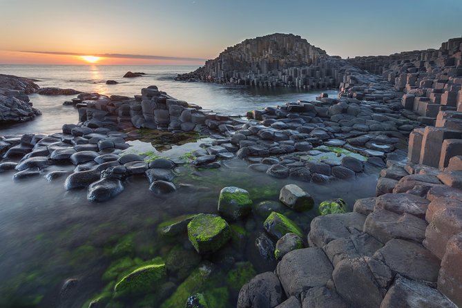 Private Tour: 'Game of Thrones' and Giant’s Causeway Full-Day Tour from Belfast - The Dark Hedges and the King’s Road