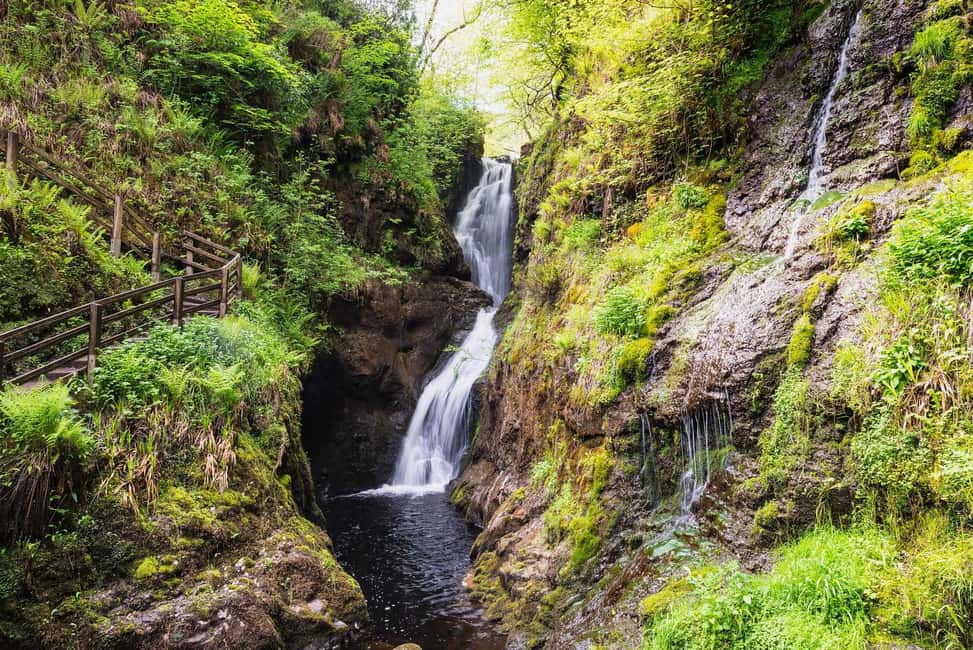 Private Tour - Irish Walled Garden, Nature & Giants Causeway - Giant’s Causeway: the day’s big finish