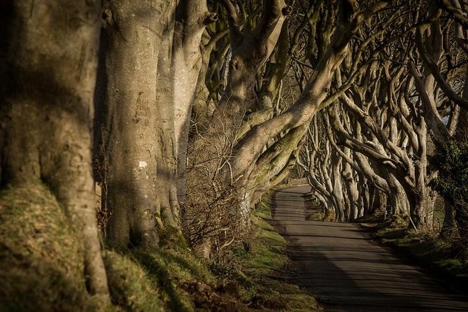 Titanic Experience and Giant's Causeway tour from Belfast - Guides can make or break the coach ride
